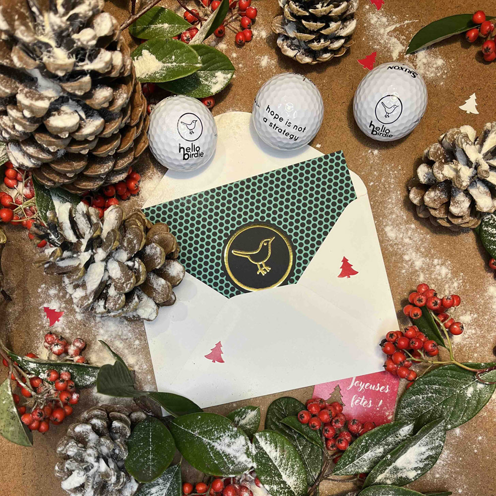 coffret-noel-hello-birdie-caddie